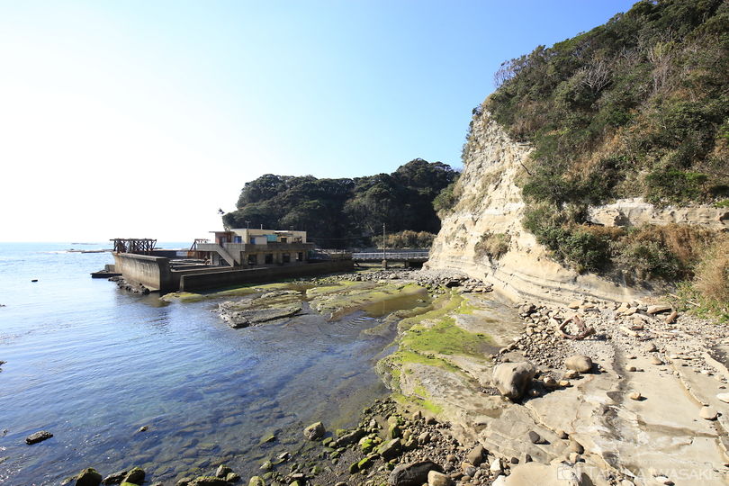 勝浦海中公園の絶景スポット写真（6）