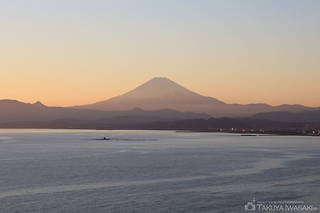 江の島シーキャンドルの絶景スポット写真（1）class=