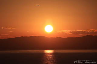 江の島シーキャンドルの絶景スポット写真（4）class=