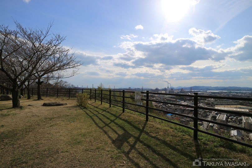 亀島山花と緑の丘公園 広場の絶景スポット写真（2）