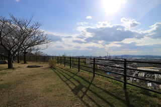 亀島山花と緑の丘公園 広場の絶景スポット写真（2）class=