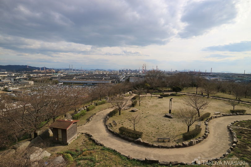 亀島山花と緑の丘公園 広場の絶景スポット写真（4）