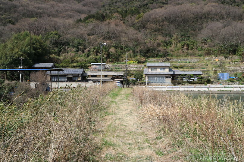 児島宇野津の棚田の絶景スポット写真（4）
