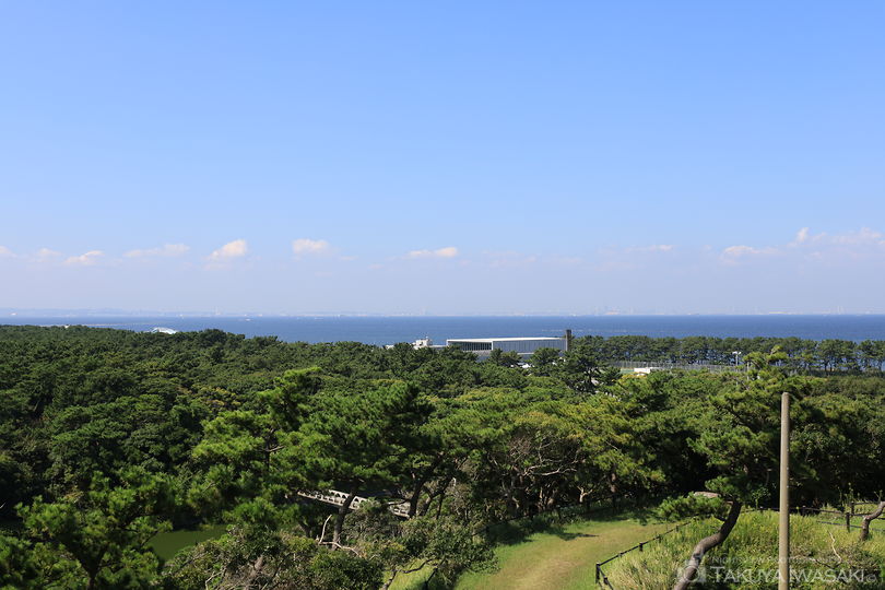 中の島展望台の絶景スポット写真（4）