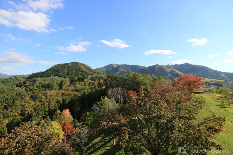 茶臼山公園の絶景スポット写真（3）